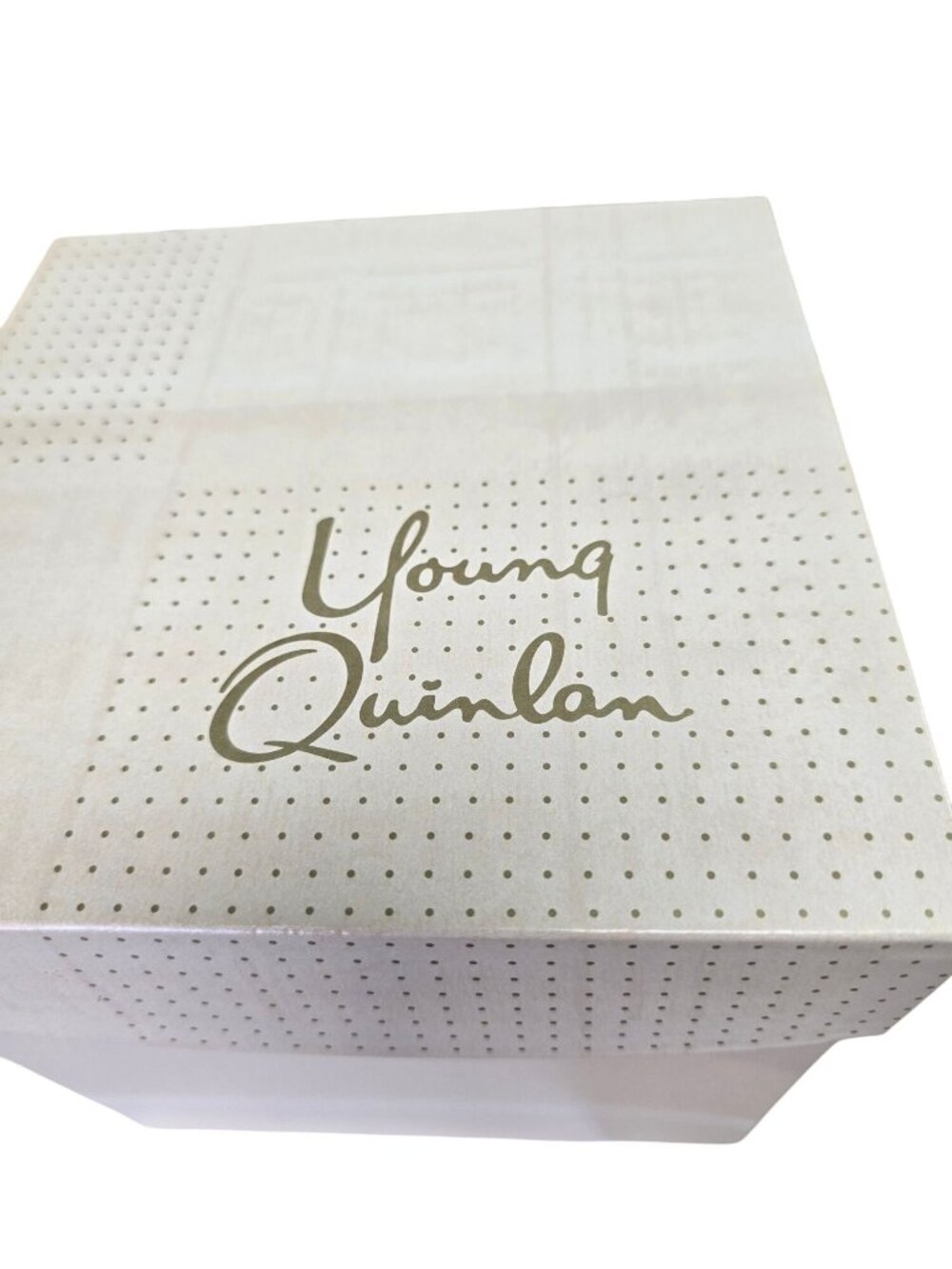 Vintage Young & Quinlan Dept Store Square Box Minneapolis Advertising 8"